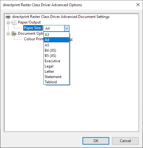 directprint_Raster_Class_Driver_Advanced_Options.jpg
